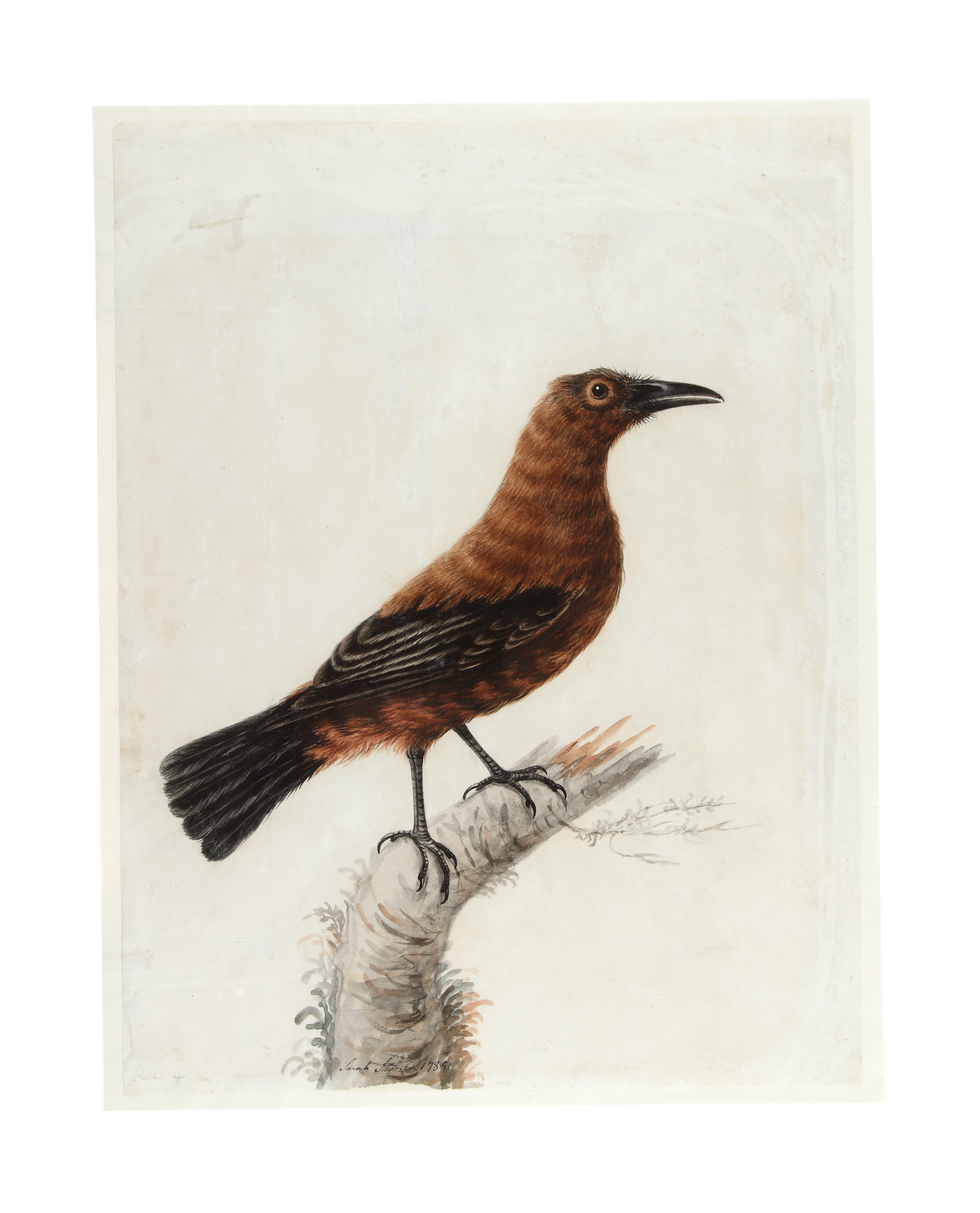 Stone Stone (1760 - 1844) 